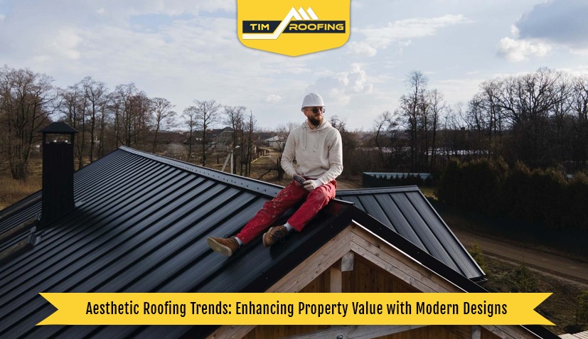 Modern metal roofing, showcasing aesthetic design